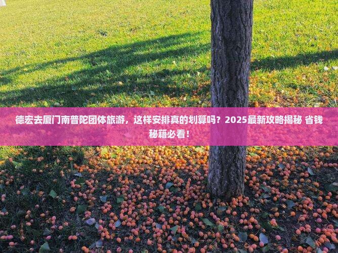 德宏去厦门南普陀团体旅游