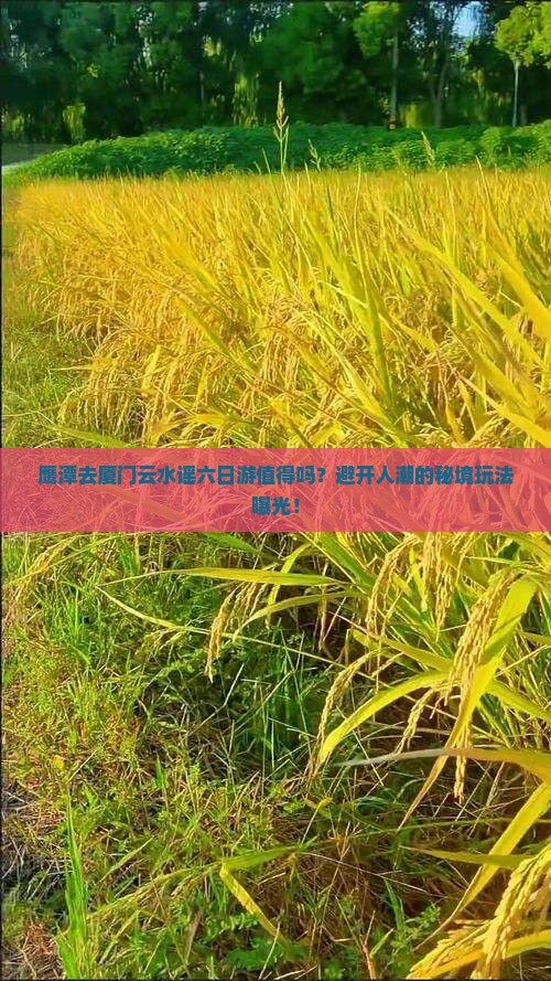 鹰潭去厦门云水谣六日游