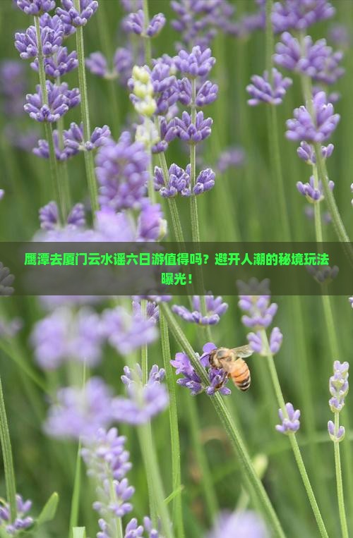 鹰潭去厦门云水谣六日游