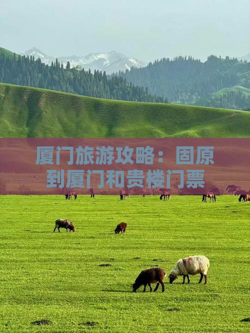 固原到厦门和贵楼门票 固原到厦门和贵楼门票