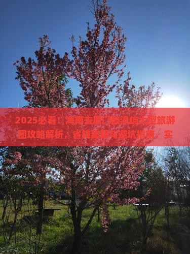 海南去厦门鼓浪屿大型旅游团
