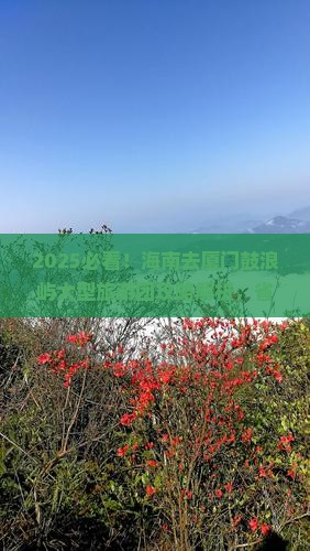 海南去厦门鼓浪屿大型旅游团