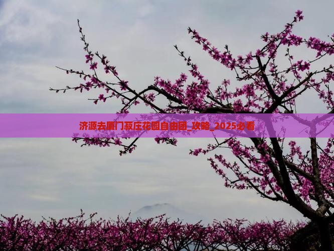 济源去厦门菽庄花园自由团