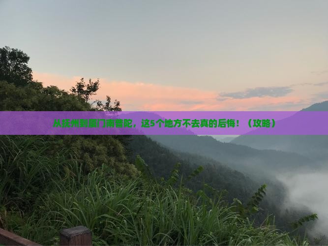 抚州到厦门南普陀必去地