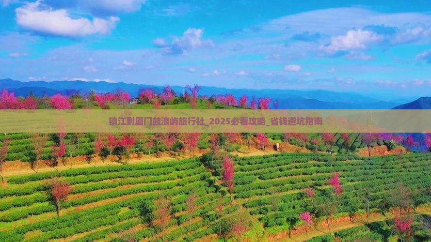 镇江到厦门鼓浪屿旅行社