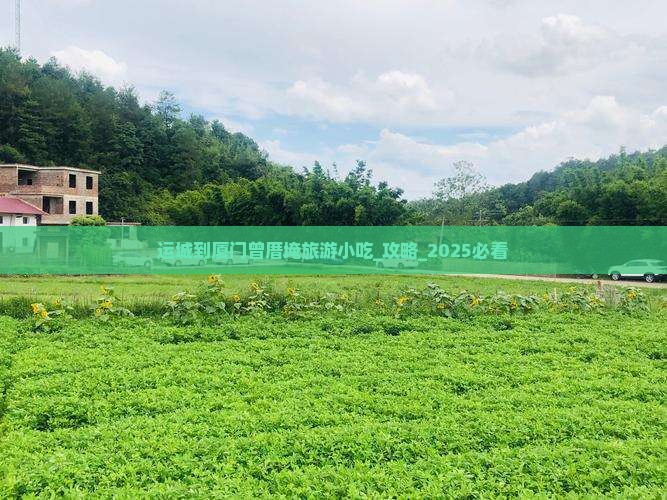 运城到厦门曾厝埯旅游小吃