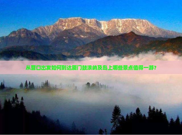 营口去厦门鼓浪屿哪里玩