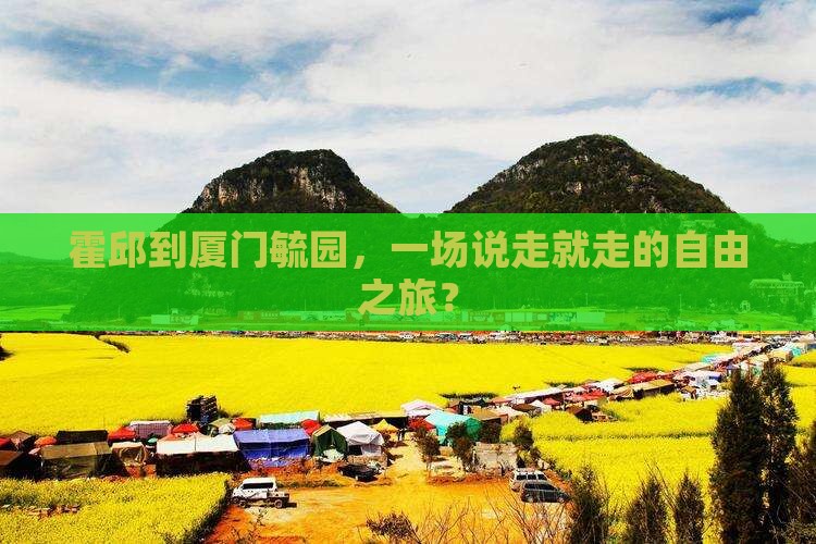 霍邱去厦门毓园自由团