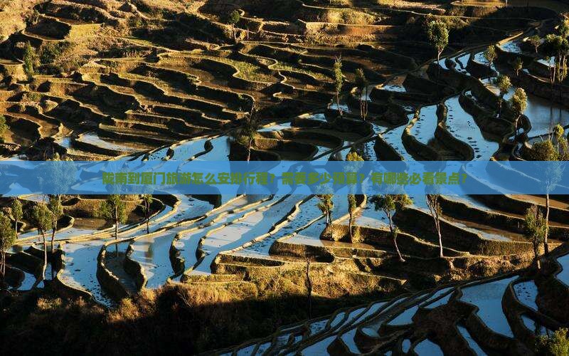 陇南到厦门旅游