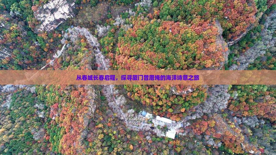 长春去厦门曾厝埯旅游