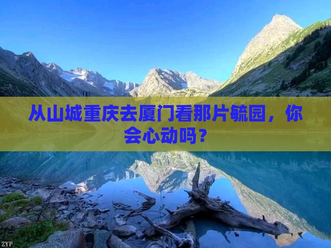 重庆到厦门毓园旅游