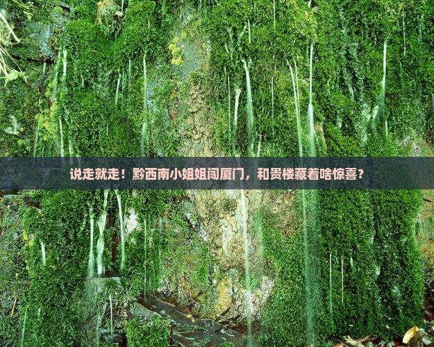 黔西南去厦门和贵楼自由行