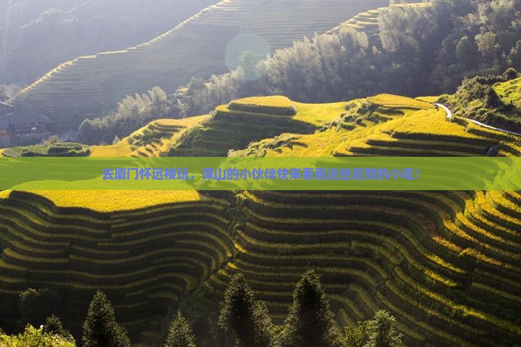保山去厦门怀远楼旅游小吃