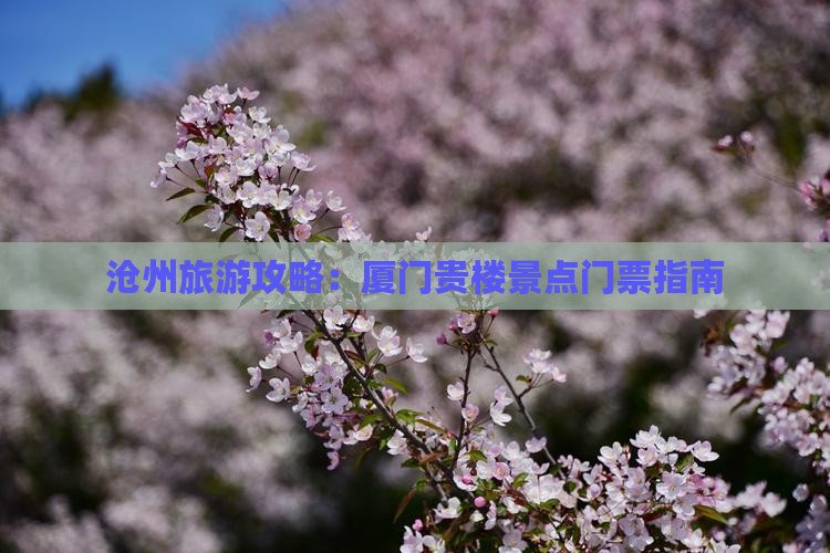沧州去厦门和贵楼门票