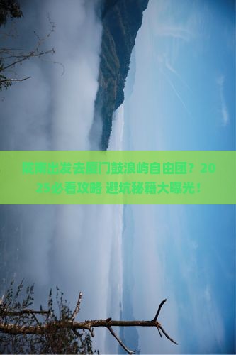 陇南去厦门鼓浪屿自由团