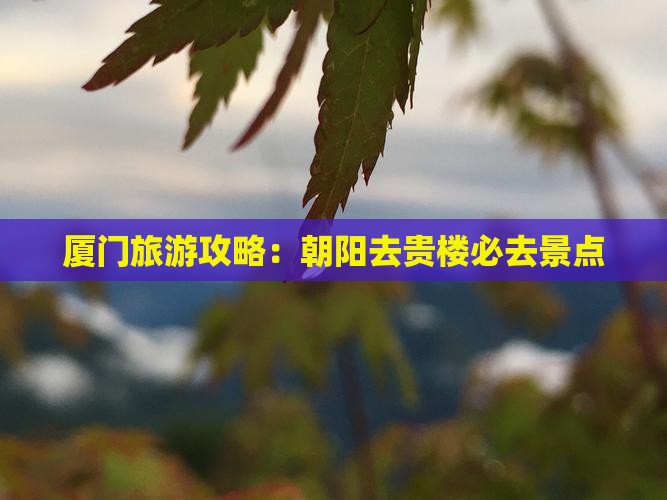 朝阳去厦门和贵楼必去地
