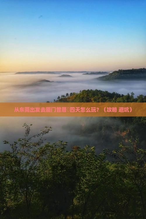 东莞到厦门曾厝埯四日游