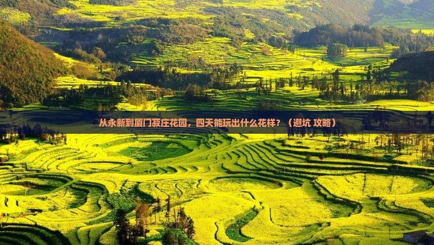 永新到厦门菽庄花园四日游