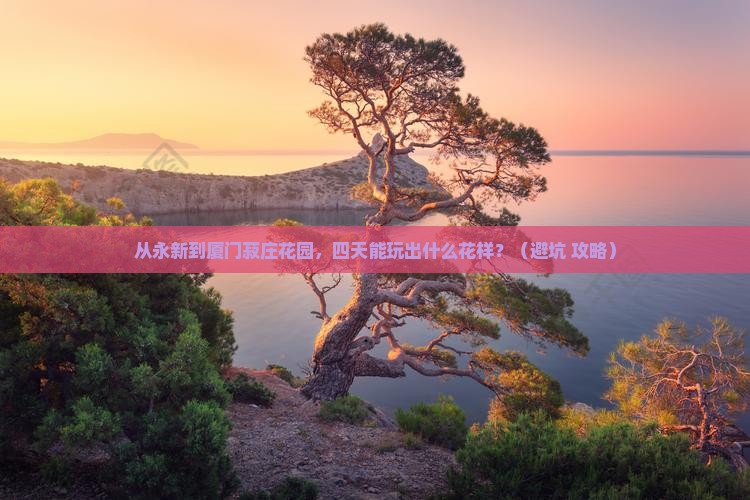 永新到厦门菽庄花园四日游