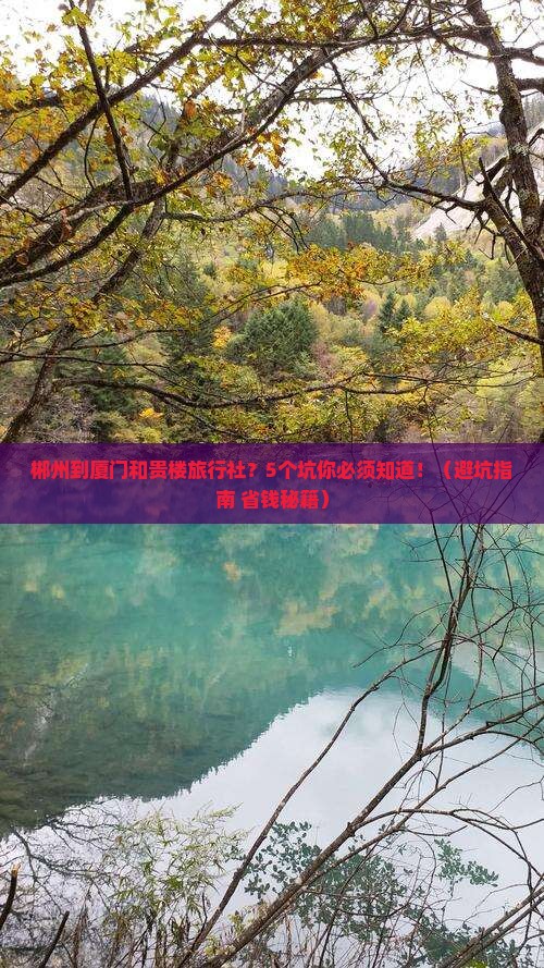 郴州到厦门和贵楼旅行社