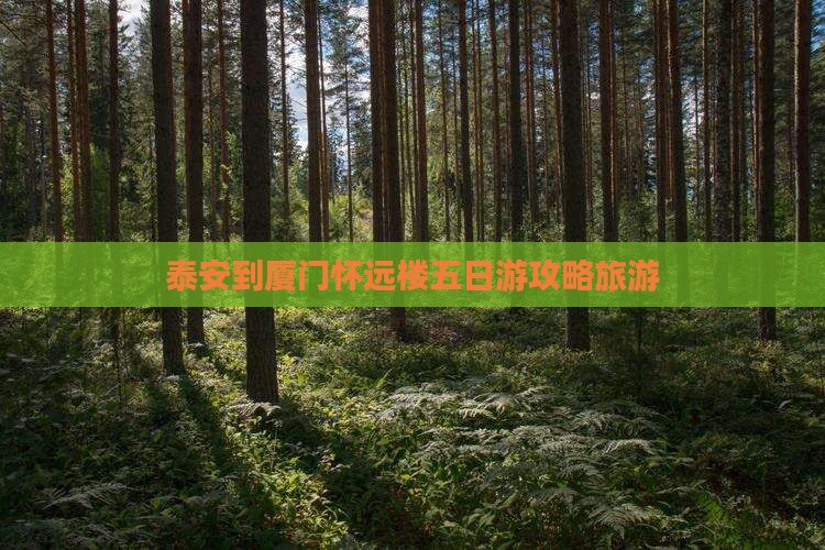 泰安到厦门怀远楼五日游