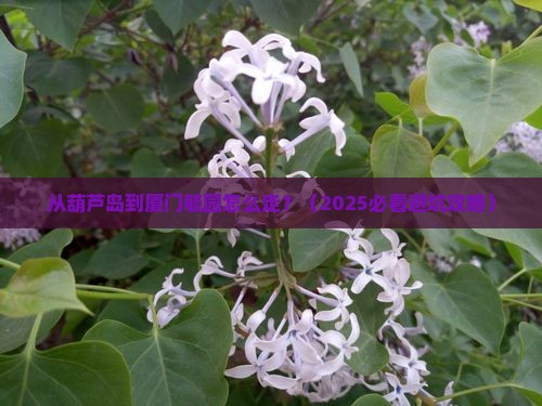 葫芦岛到厦门毓园景点