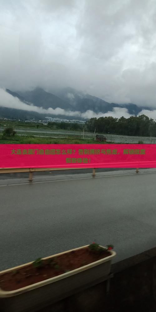 大连去厦门自由团