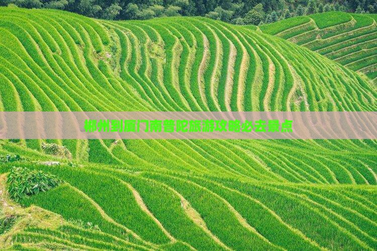 郴州到厦门南普陀必去地