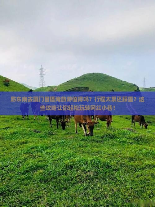 黔东南去厦门曾厝埯旅游