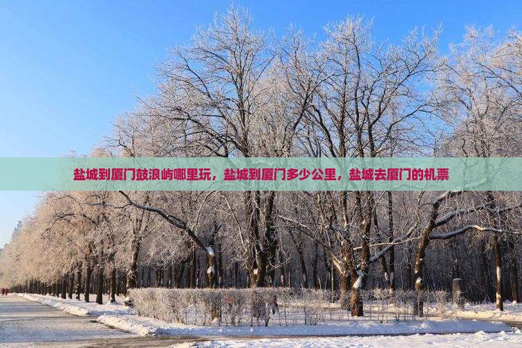 盐城到厦门鼓浪屿哪里玩