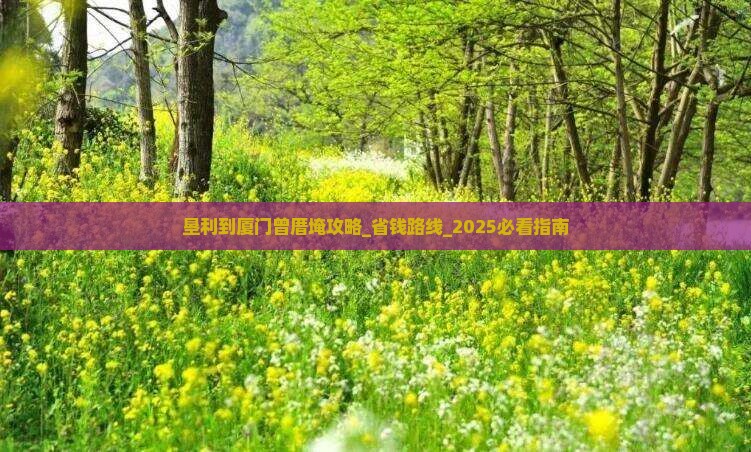 垦利到厦门曾厝埯攻略