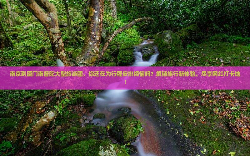 南京到厦门南普陀大型旅游团