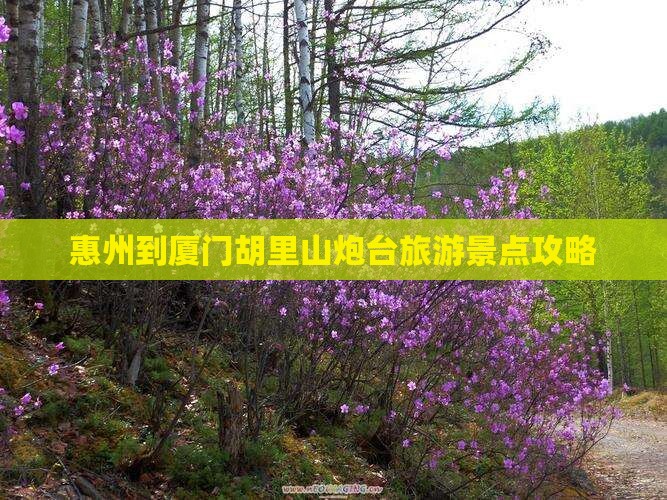 惠州到厦门胡里山炮台哪里玩