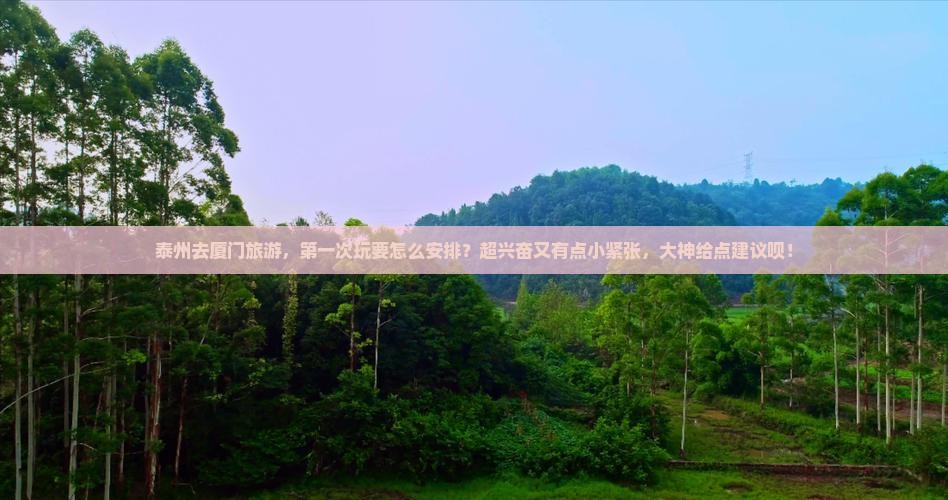 泰州去厦门旅游