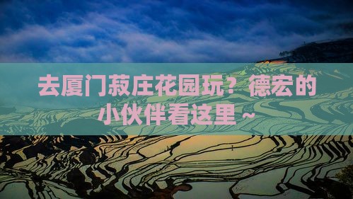 德宏到厦门菽庄花园哪里玩