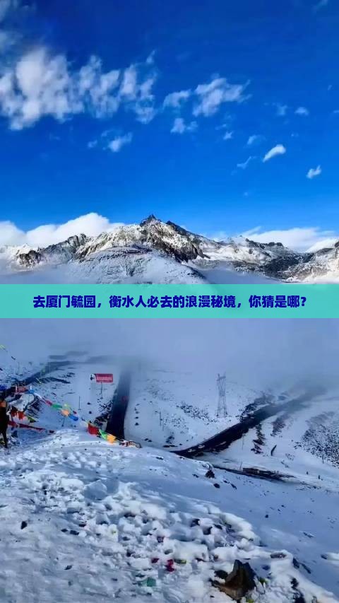 衡水去厦门毓园必去地