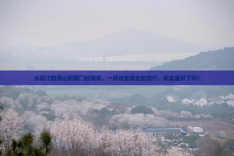 丽江到厦门团体旅游