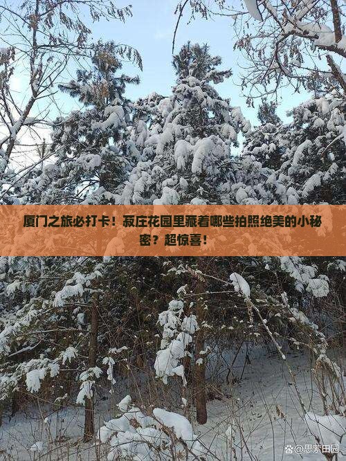 毕节去厦门菽庄花园景点