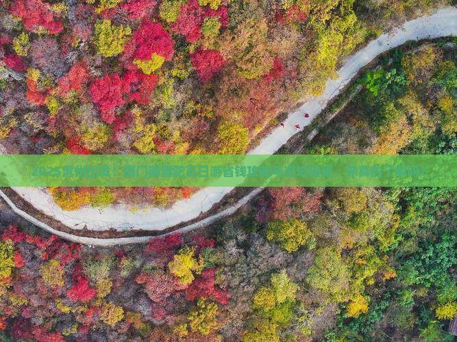 滨州到厦门南普陀五日游