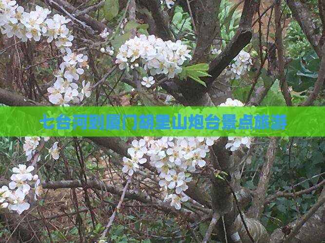 七台河到厦门胡里山炮台景点