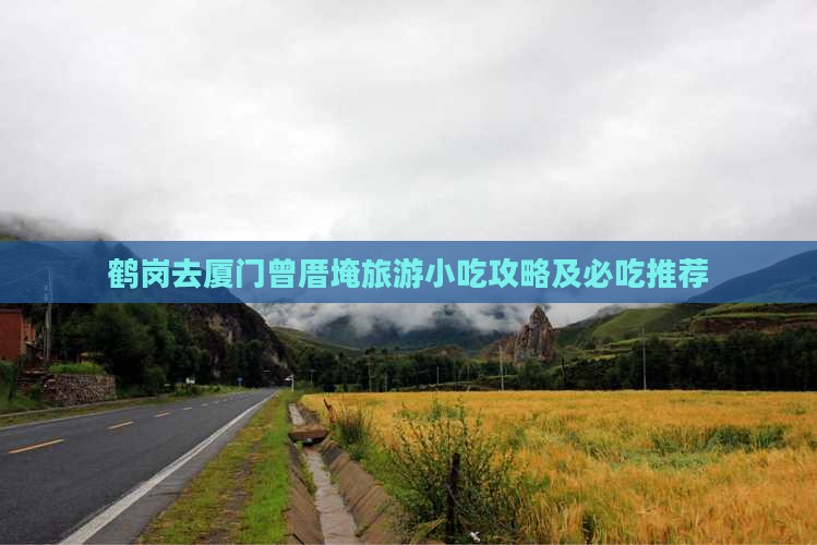 鹤岗去厦门曾厝埯旅游小吃