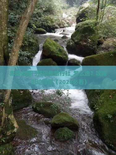 赤峰去厦门怀远楼旅行社