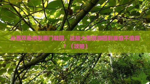 西双版纳去厦门毓园大型旅游团