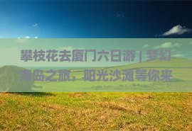 攀枝花去厦门六日游