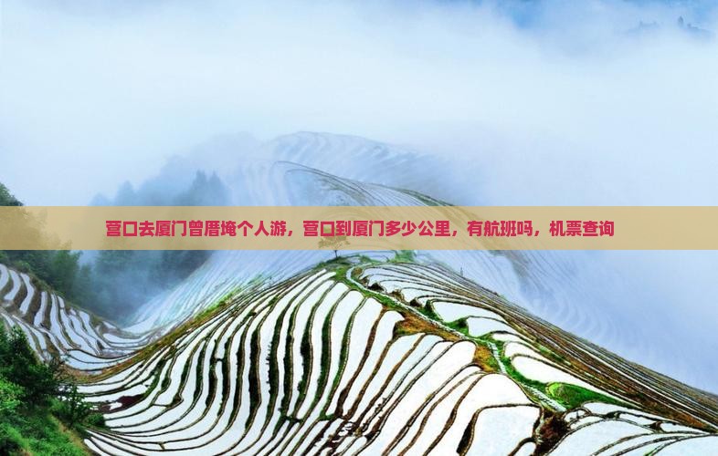 营口去厦门曾厝埯个人游