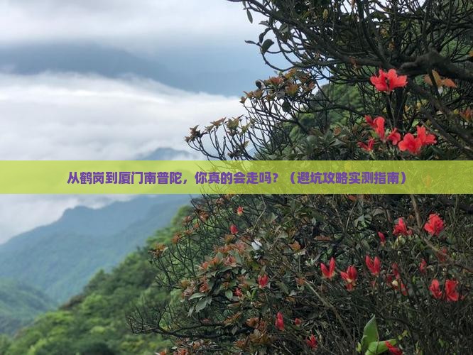 鹤岗到厦门南普陀自由团