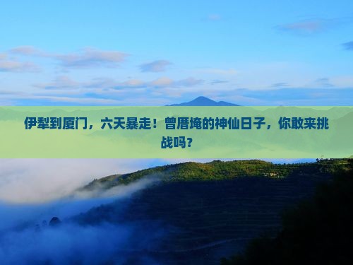 伊犁到厦门曾厝埯六日游