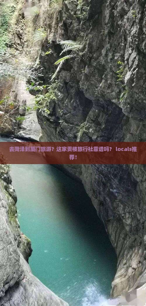 菏泽到厦门和贵楼旅行社