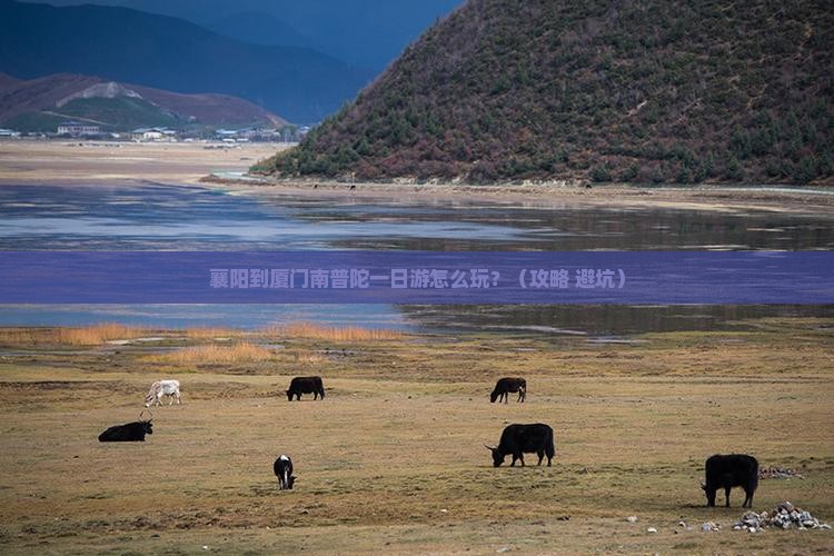襄樊到厦门南普陀一日