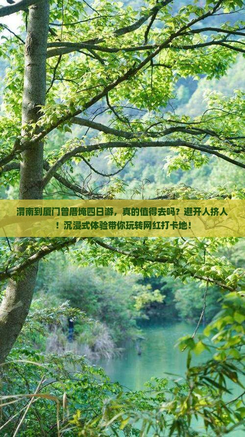 渭南到厦门曾厝埯四日游